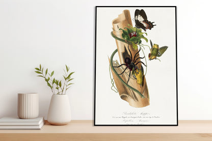 Plakat  Lamparcik Żółtorzytny, Gervais Vintage do Salonu
