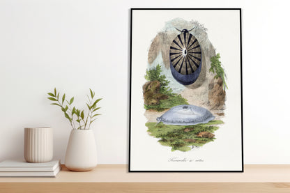 Plakat  Ślimak Wulkaniczny 2, Gervais Vintage do Salonu
