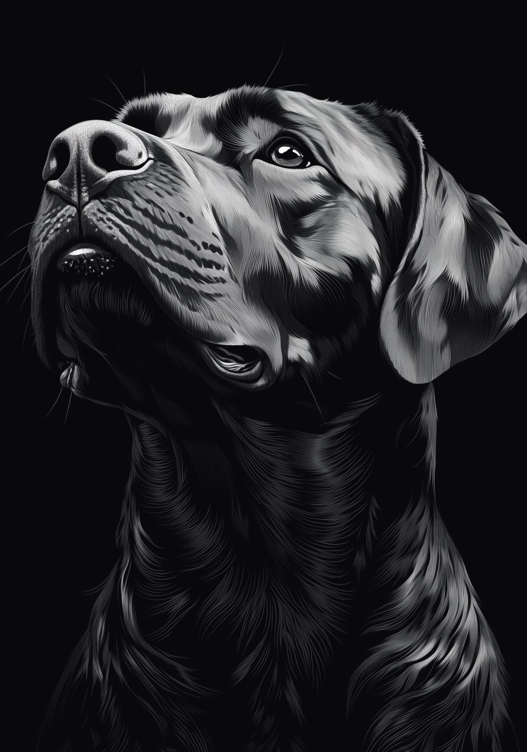 Plakat  Portret Zwierząt do Salonu | Labrador | Czarno Białe