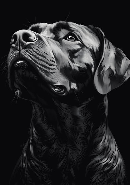 Plakat  Portret Zwierząt do Salonu | Labrador | Czarno Białe