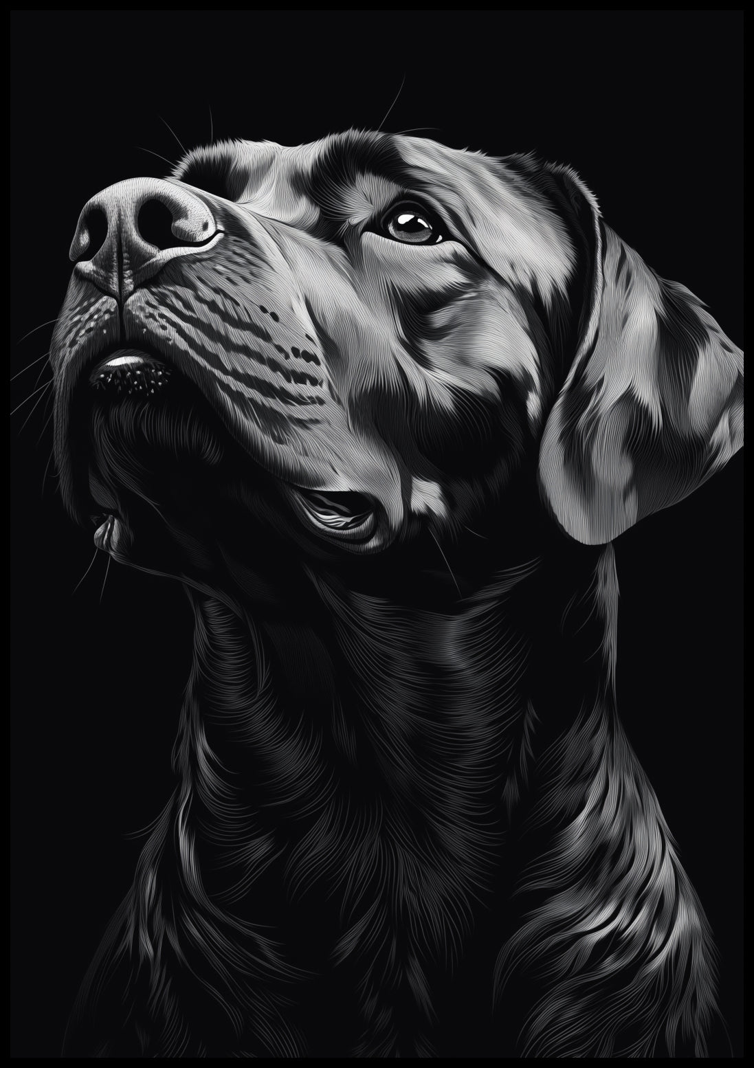 Plakat  Portret Zwierząt do Salonu | Labrador | Czarno Białe