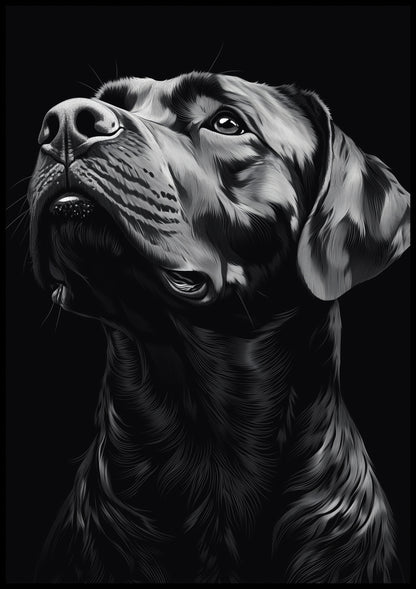 Plakat  Portret Zwierząt do Salonu | Labrador | Czarno Białe