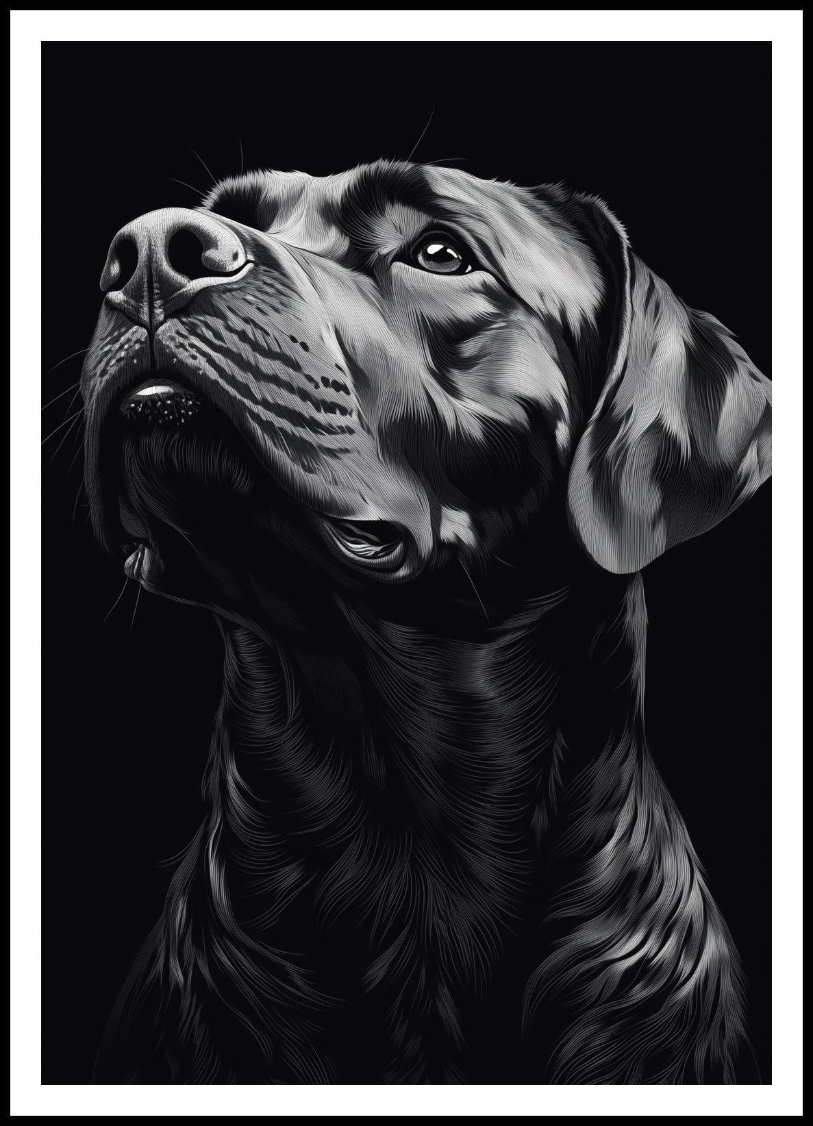 Plakat  Portret Zwierząt do Salonu | Labrador | Czarno Białe