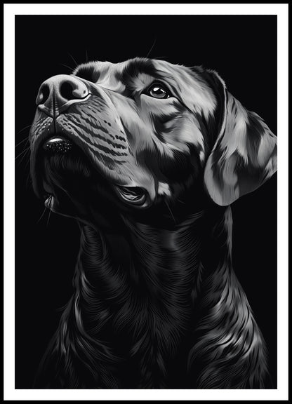 Plakat  Portret Zwierząt do Salonu | Labrador | Czarno Białe