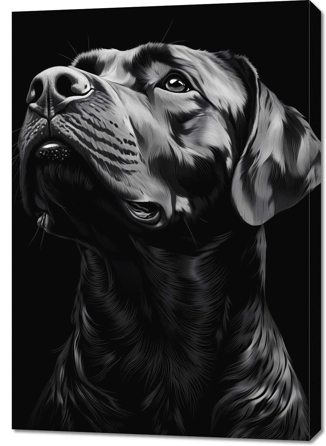 Obraz  Portret Zwierząt do Salonu | Labrador | Czarno Białe