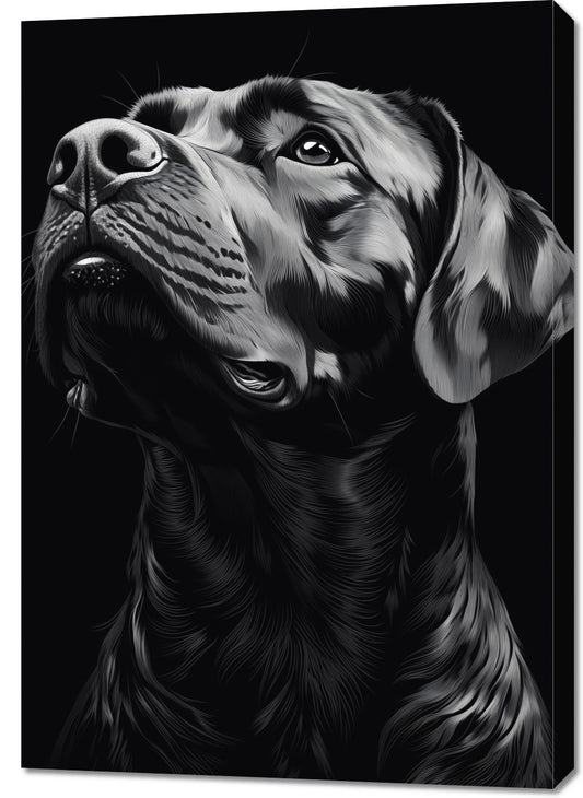 Obraz  Portret Zwierząt do Salonu | Labrador | Czarno Białe
