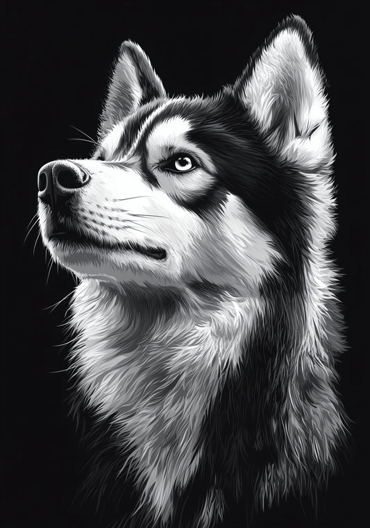 Plakat  Portret Zwierząt do Salonu Pokoju | Husky | Czarno Białe