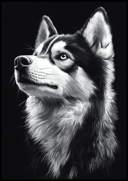 Plakat  Portret Zwierząt do Salonu Pokoju | Husky | Czarno Białe