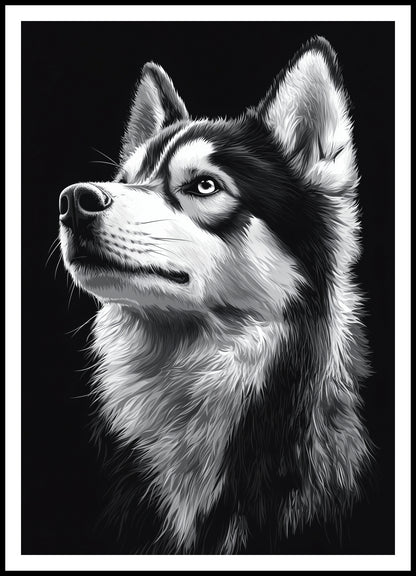 Plakat  Portret Zwierząt do Salonu Pokoju | Husky | Czarno Białe