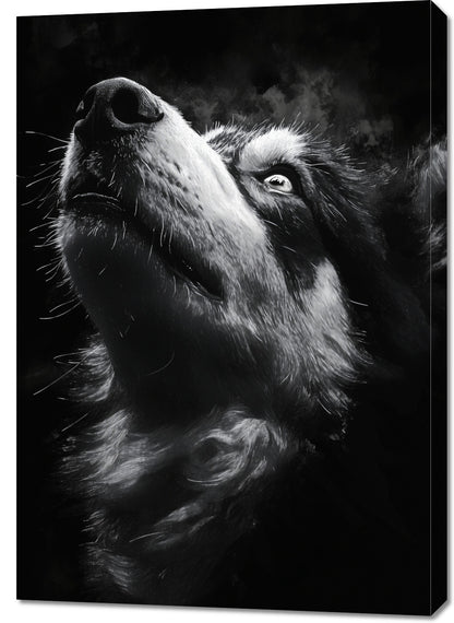 Obraz  Portret Zwierząt do Salonu Pokoju | Husky 2 | Czarno Białe