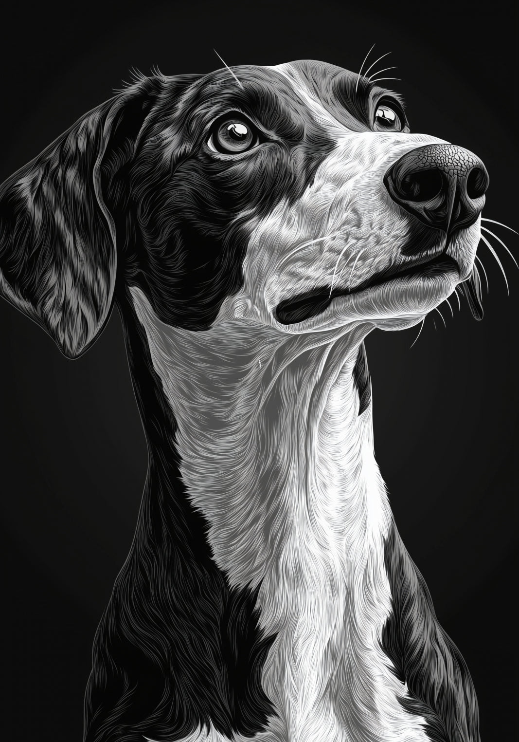 Plakat  Portret Zwierząt do Salonu Pokoju | Greyhound | Czarno Białe
