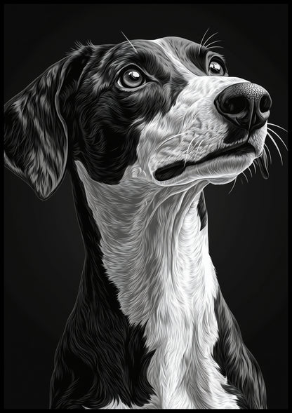 Plakat  Portret Zwierząt do Salonu Pokoju | Greyhound | Czarno Białe