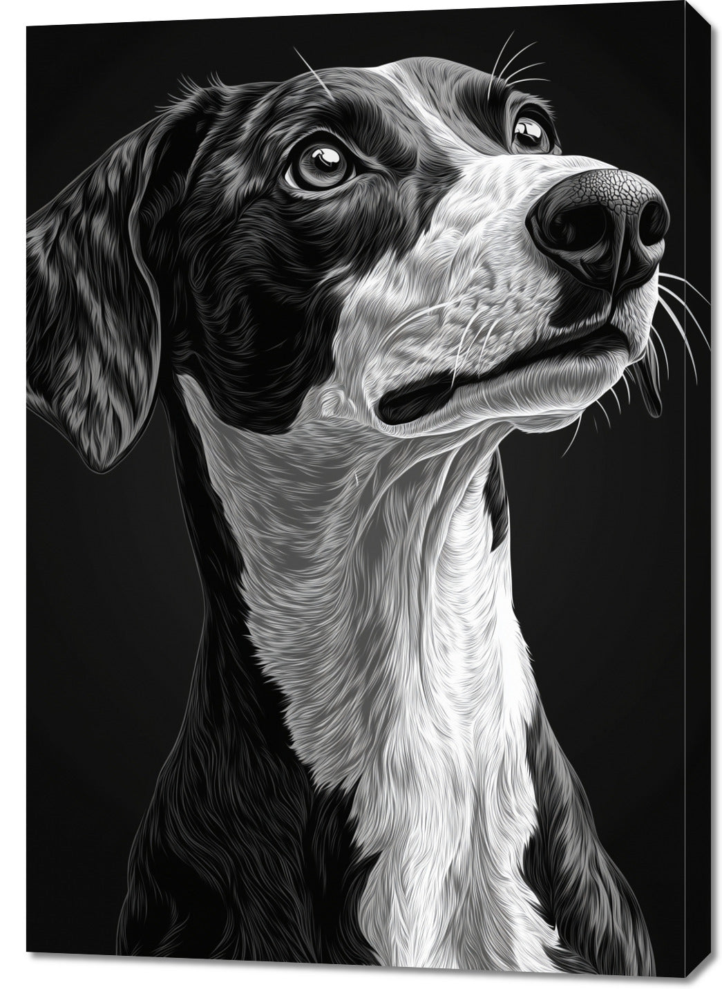 Obraz  Portret Zwierząt do Salonu Pokoju | Greyhound | Czarno Białe