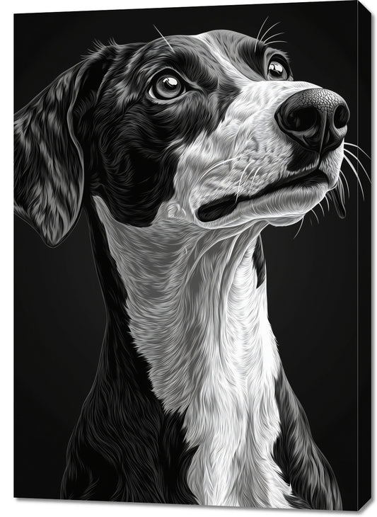 Obraz  Portret Zwierząt do Salonu Pokoju | Greyhound | Czarno Białe
