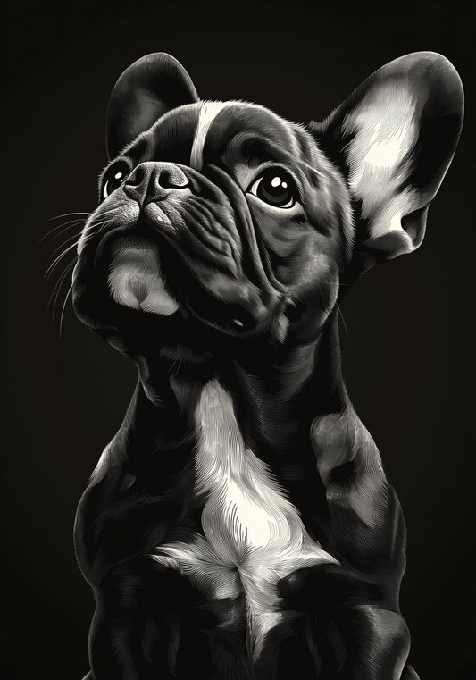Plakat   Portret Zwierząt do Salonu | Buldog Francuski | Czarno Białe