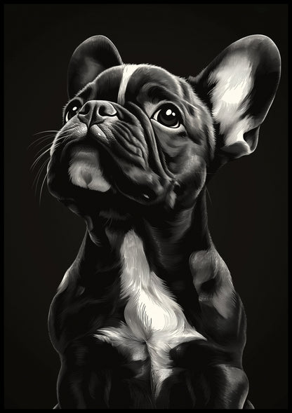 Plakat   Portret Zwierząt do Salonu | Buldog Francuski | Czarno Białe