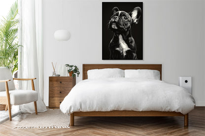 Plakat   Portret Zwierząt do Salonu | Buldog Francuski | Czarno Białe