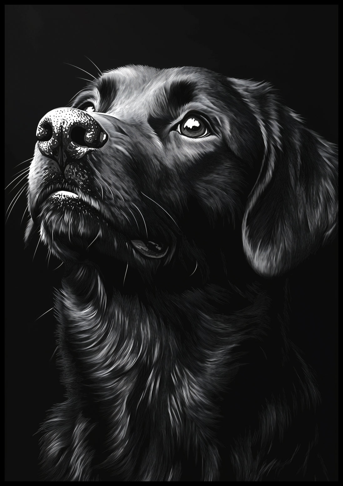Plakat  Portret Zwierząt do Salonu Pokoju | Labrador 2 | Czarno Białe