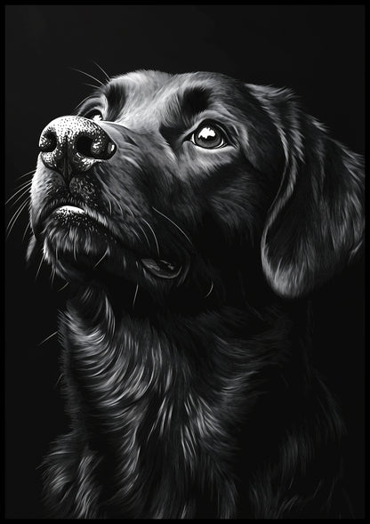 Plakat  Portret Zwierząt do Salonu Pokoju | Labrador 2 | Czarno Białe