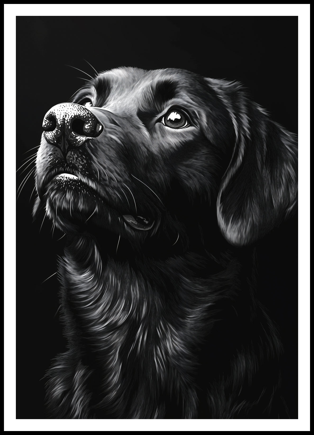 Plakat  Portret Zwierząt do Salonu Pokoju | Labrador 2 | Czarno Białe
