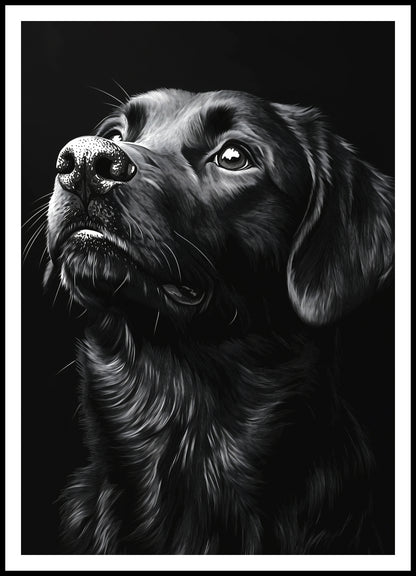 Plakat  Portret Zwierząt do Salonu Pokoju | Labrador 2 | Czarno Białe