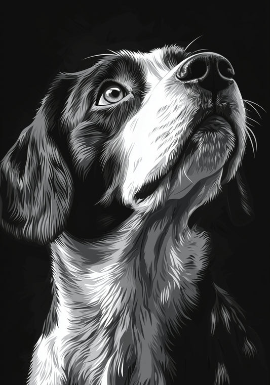 Plakat   Portret Zwierząt do Salonu | Beagle 2 | Czarno Białe