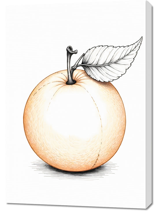 Obraz  Cytrus Minimalistyczny , Wnętrza Styl Skandynawski, Boho