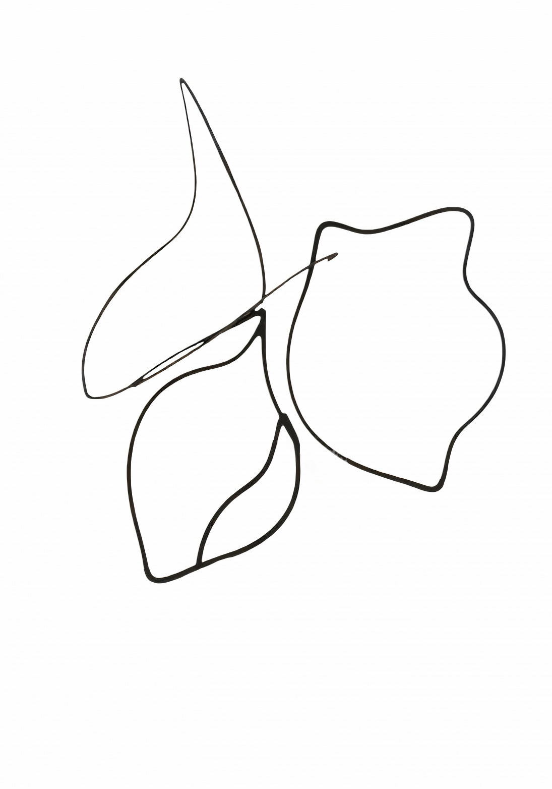 Plakat  Kreśla 2 Minimalistyczny , Wnętrza Styl Skandynawski, Boho