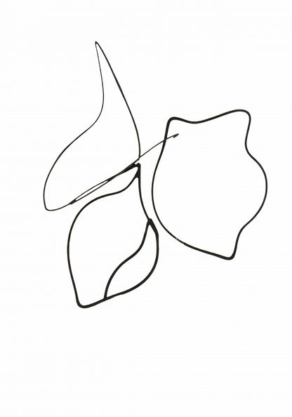 Plakat  Kreśla 2 Minimalistyczny , Wnętrza Styl Skandynawski, Boho