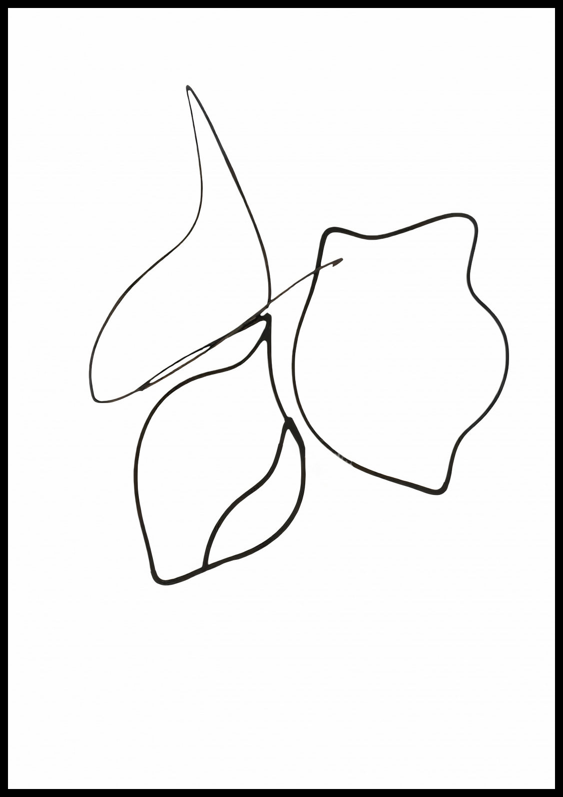 Plakat  Kreśla 2 Minimalistyczny , Wnętrza Styl Skandynawski, Boho