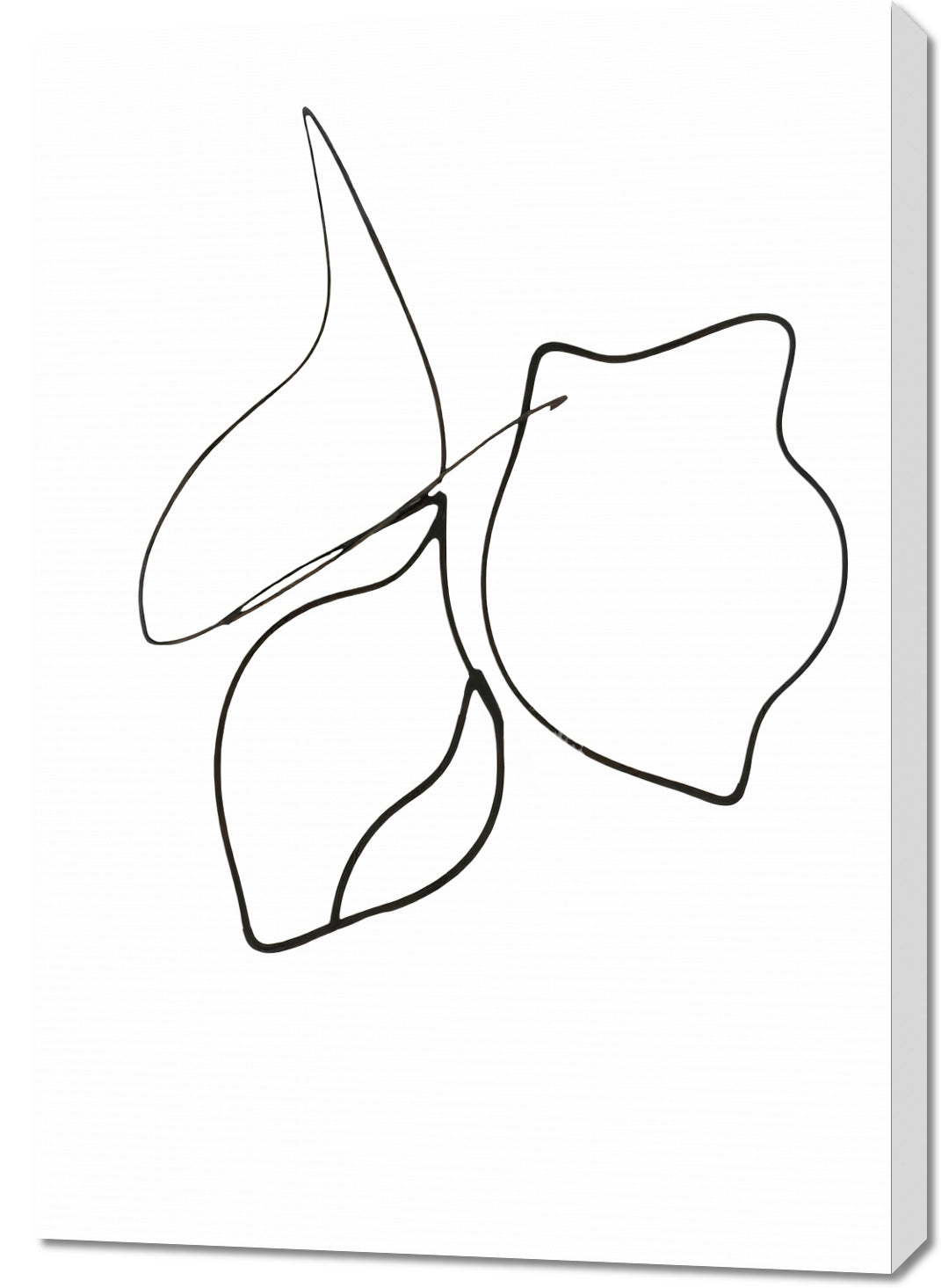Obraz  Kreśla 2 Minimalistyczny , Wnętrza Styl Skandynawski, Boho