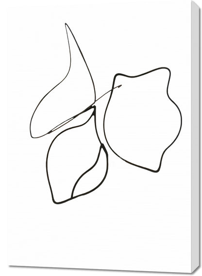 Obraz  Kreśla 2 Minimalistyczny , Wnętrza Styl Skandynawski, Boho