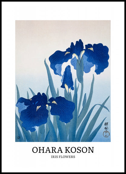 Plakat  Design Iris Flowers, Koson Vintage do Salonu