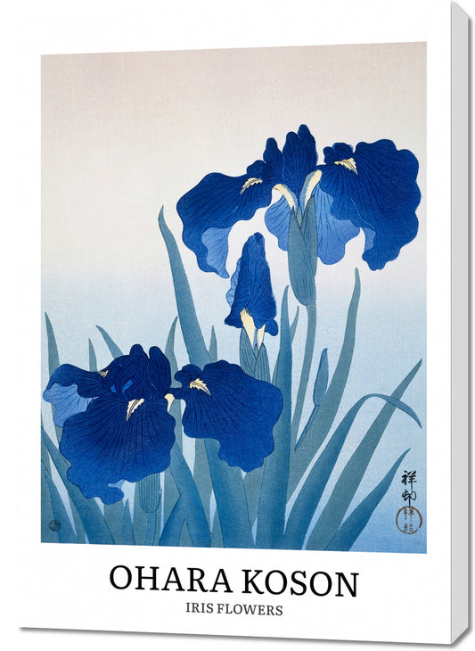 Obraz  Design Iris Flowers, Koson Vintage do Salonu