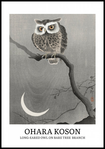 Plakat  Design Long-Eared Owl, Koson Vintage do Salonu