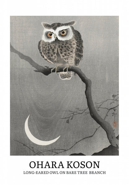 Plakat  Design Long-Eared Owl, Koson Vintage do Salonu