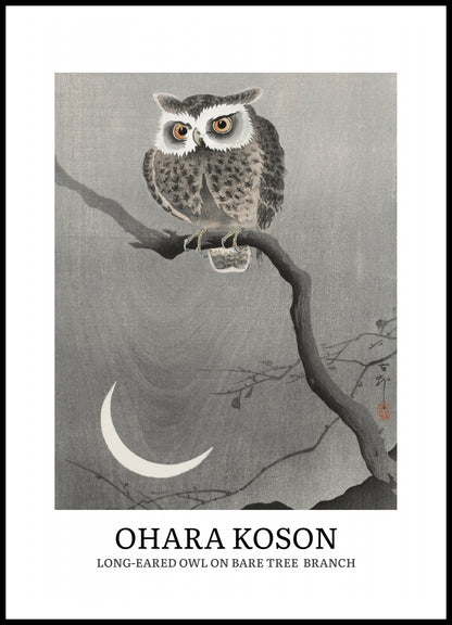 Plakat  Design Long-Eared Owl, Koson Vintage do Salonu