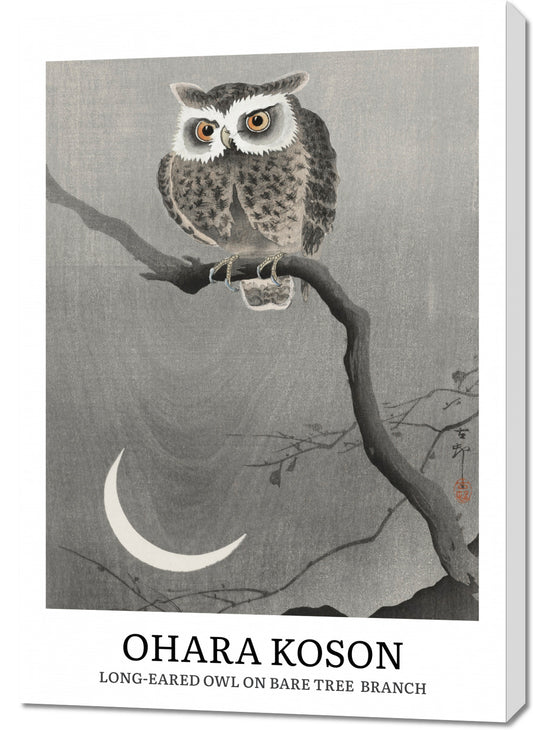 Obraz  Design Long-Eared Owl, Koson Vintage do Salonu