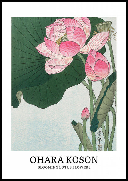 Plakat  Design Lotus, Koson Vintage do Salonu
