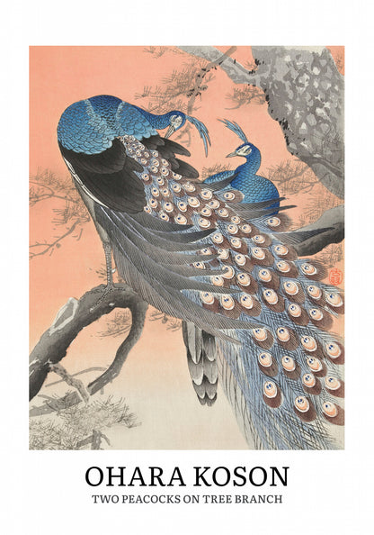 Plakat  Design Two Peacocks, Koson Vintage do Salonu