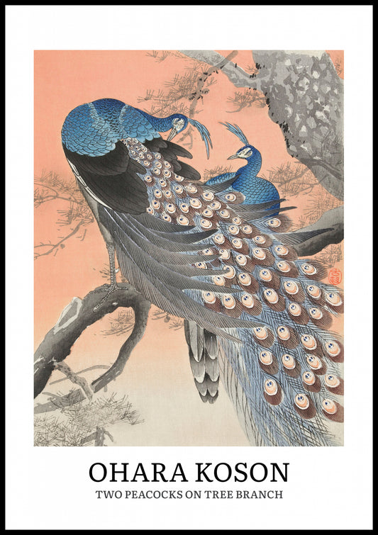 Plakat  Design Two Peacocks, Koson Vintage do Salonu