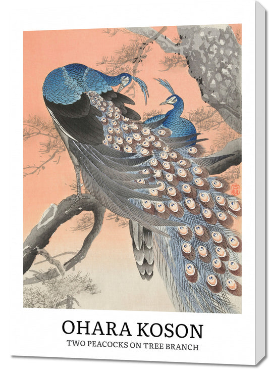 Obraz  Design Two Peacocks, Koson Vintage do Salonu