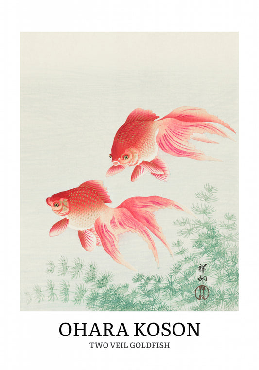 Plakat  Two Veil Goldfish, Koson Vintage do Salonu