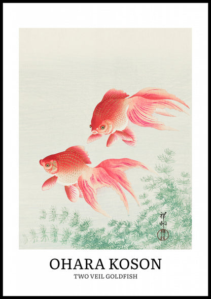 Plakat  Two Veil Goldfish, Koson Vintage do Salonu