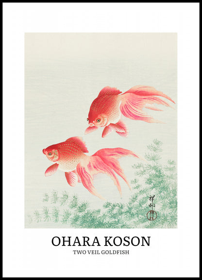 Plakat  Two Veil Goldfish, Koson Vintage do Salonu