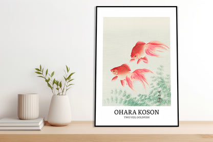 Plakat  Two Veil Goldfish, Koson Vintage do Salonu