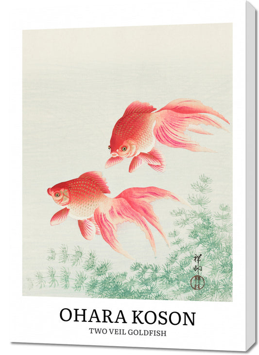 Obraz  Two Veil Goldfish, Koson Vintage do Salonu