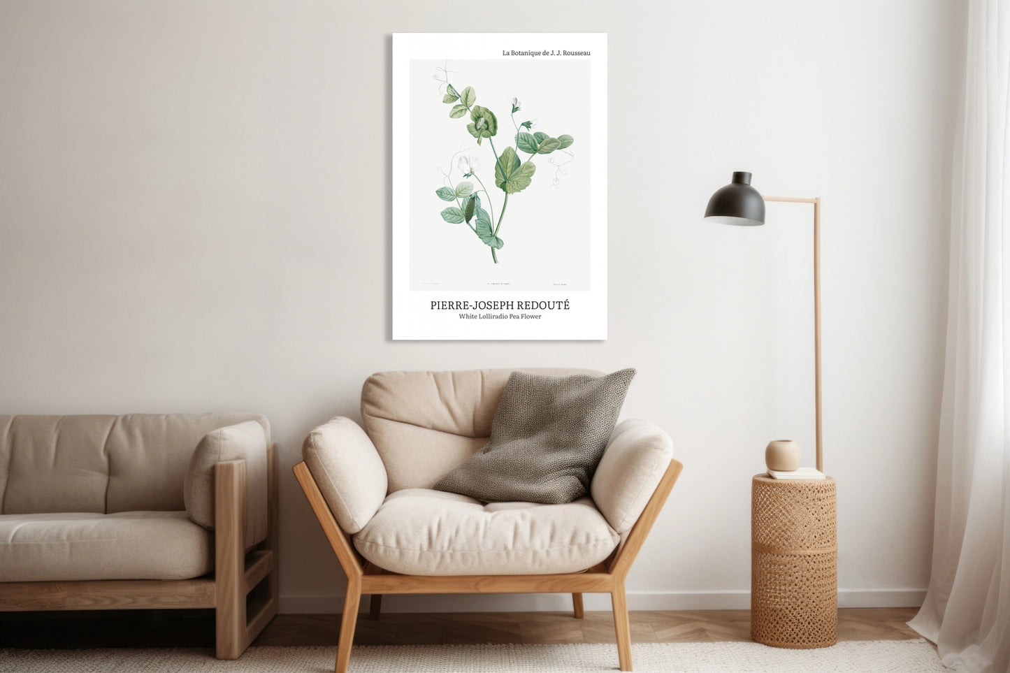 Obraz  Desig Lolliradio Pea Flower, Redoute Vintage do Salonu