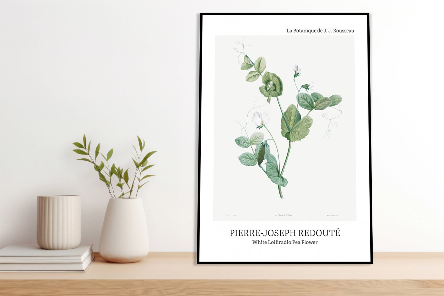 Plakat  Desig Lolliradio Pea Flower, Redoute Vintage do Salonu