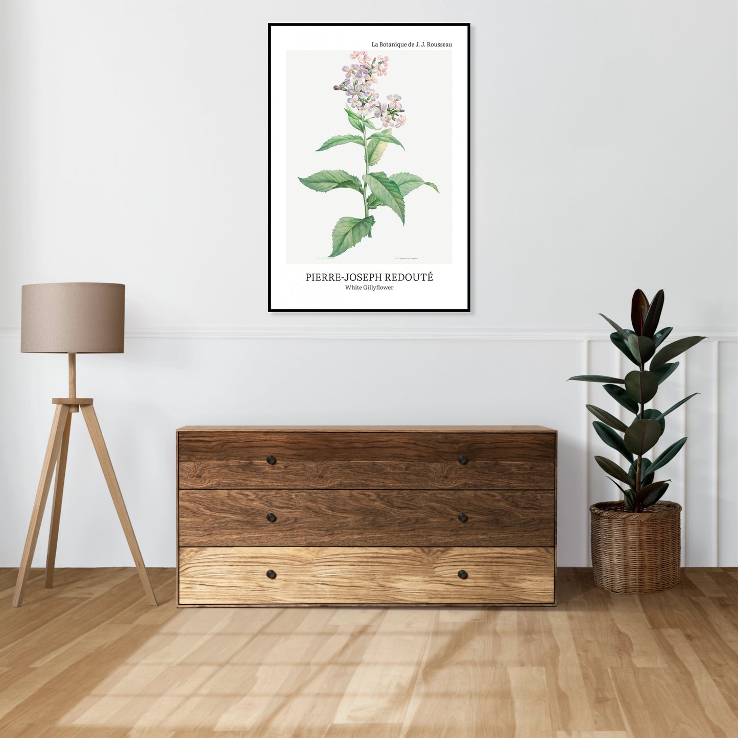 Obraz  Design White Gillyflower, Redoute Vintage do Salonu